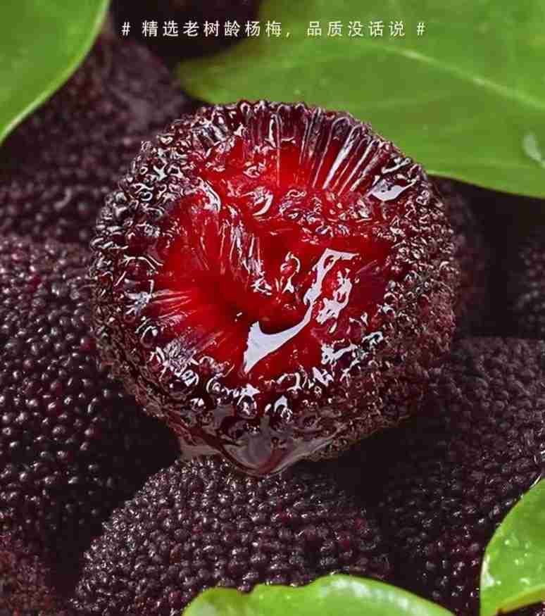 云南|浙兴杨梅（大果）|约2斤|0.5箱|预定