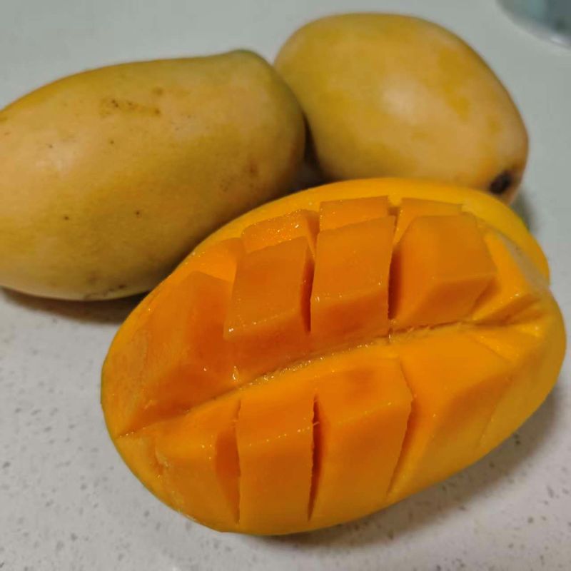 进口|有机香芒|单果0.6~1.2斤之间；香甜醇厚，细腻丝滑|4斤|次日配送