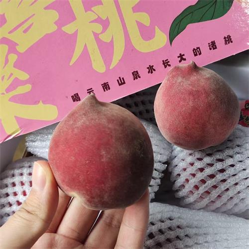 云南|小蜜桃|净重约3斤|1箱|次日配送