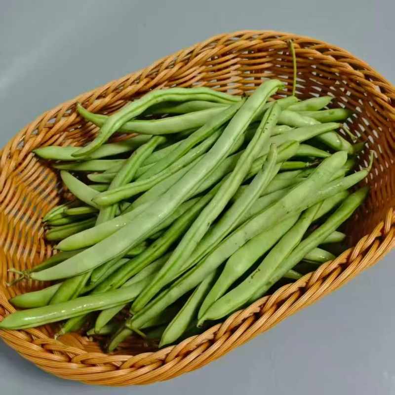 高山蔬菜|四季豆|1斤|次日配送
