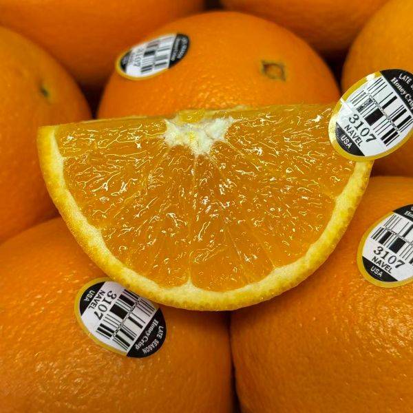 进口|15＃美国橙礼盒|净重7.5斤左右|1箱|次日配送