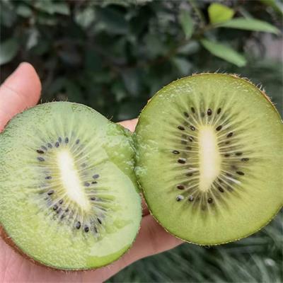 江山|徐香猕猴桃（小箱）|毛重5斤|1箱|次日配送