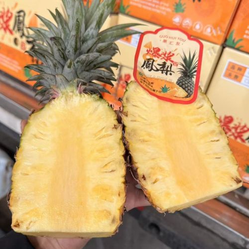 海南|芒果凤梨|默认不切，总重5斤左右|2个|次日配送