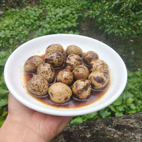 大厨秘制|卤鹌鹑蛋（25枚）|1份|次日配送