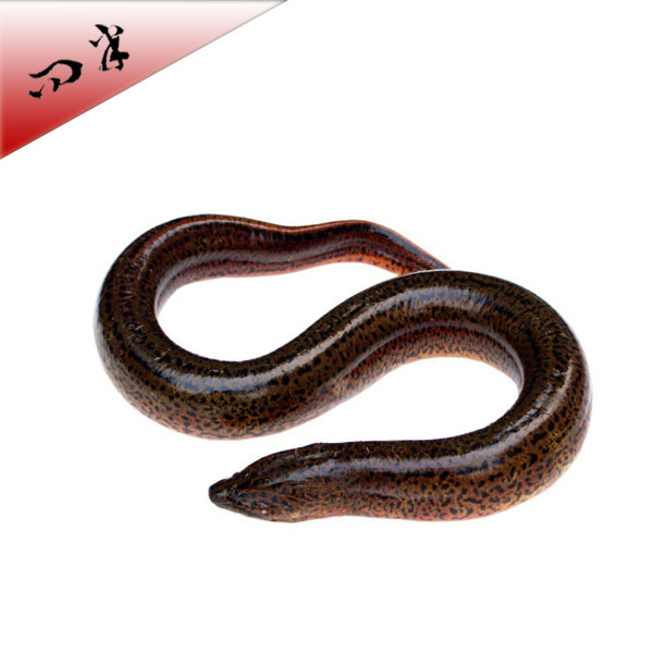皖南山区|野生黄鳝|6～8条，默认宰杀，活重8两，宰杀好0.65斤以上|1包|次日配送