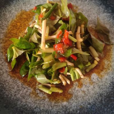 高山蔬菜|野生嫩鱼腥草（0.3斤）|1盒|次日配送