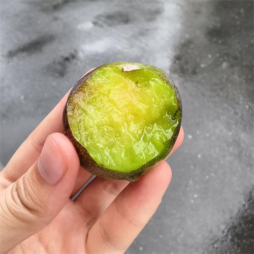 精选|青红脆李|4斤|次日配送