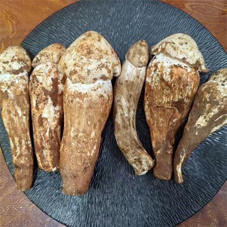 云南|大白鸡枞|2斤|48小时内顺丰直发
