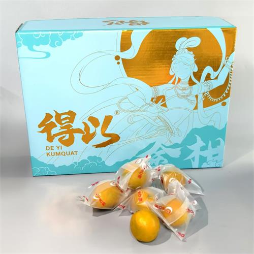 精选|得以脆蜜金柑（二合一）|XL特大果，净重3斤|1箱|次日配送