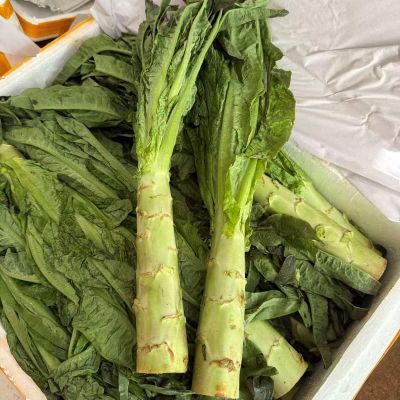 高山蔬菜|有机莴笋（偏差3两以内）|1.1斤|次日配送