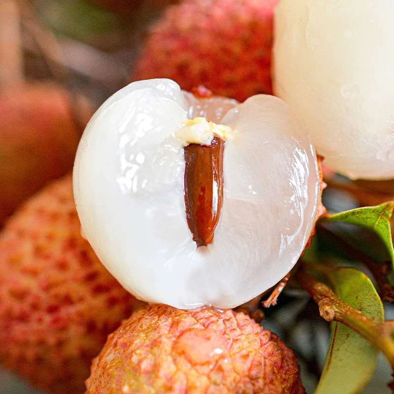海南|空运妃子笑荔枝|2.8斤左右|1箱|次日配送