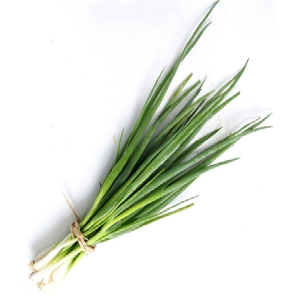 高山蔬菜|带根小葱|0.1斤|次日配送