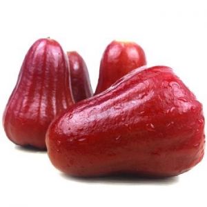 海南|黑金刚莲雾（中果，15头左右）|约3斤|1箱|次日配送