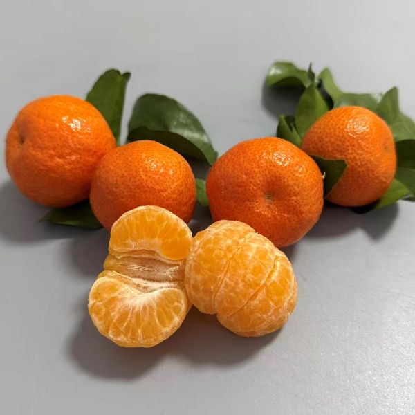 精选|砂糖橘|毛重5.8斤|1筐|次日配送