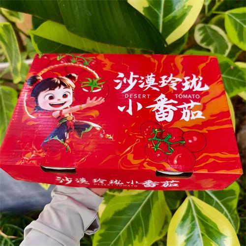 精选|沙漠玲珑小番茄|净重2斤|1箱|次日配送