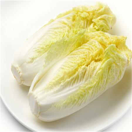 高山蔬菜|有机娃娃菜|偏差2两以内|2.2斤|次日配送