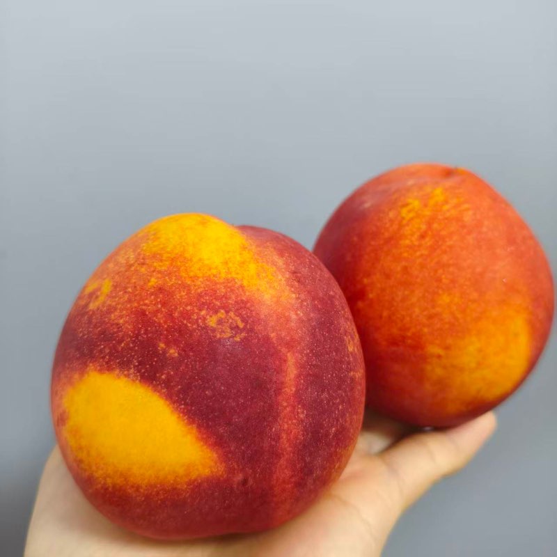 新疆|阿克苏阳光桃（简装）|单果150~200g|1.8斤|次日配送