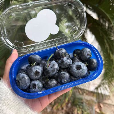 云南|云美莓24mm+钻石蓝莓|单盒200g|8小盒|次日配送