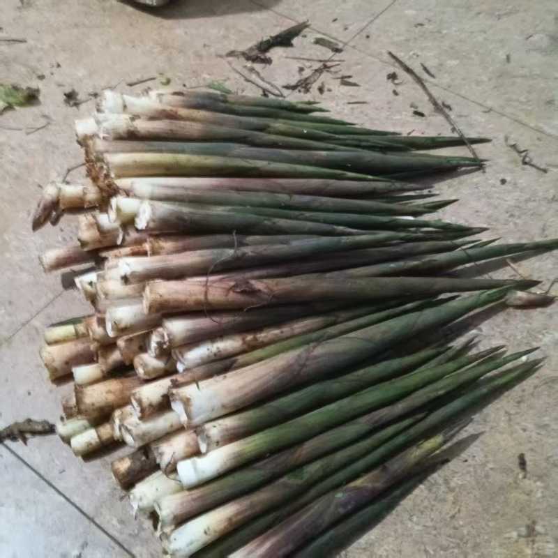 高山蔬菜|带壳野笋|3斤|次日配送