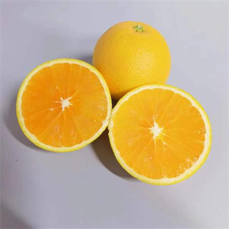 秭归|九月红果冻橙|24头净9斤，果冻般的口感|1箱|基地圆通/极兔快递包邮