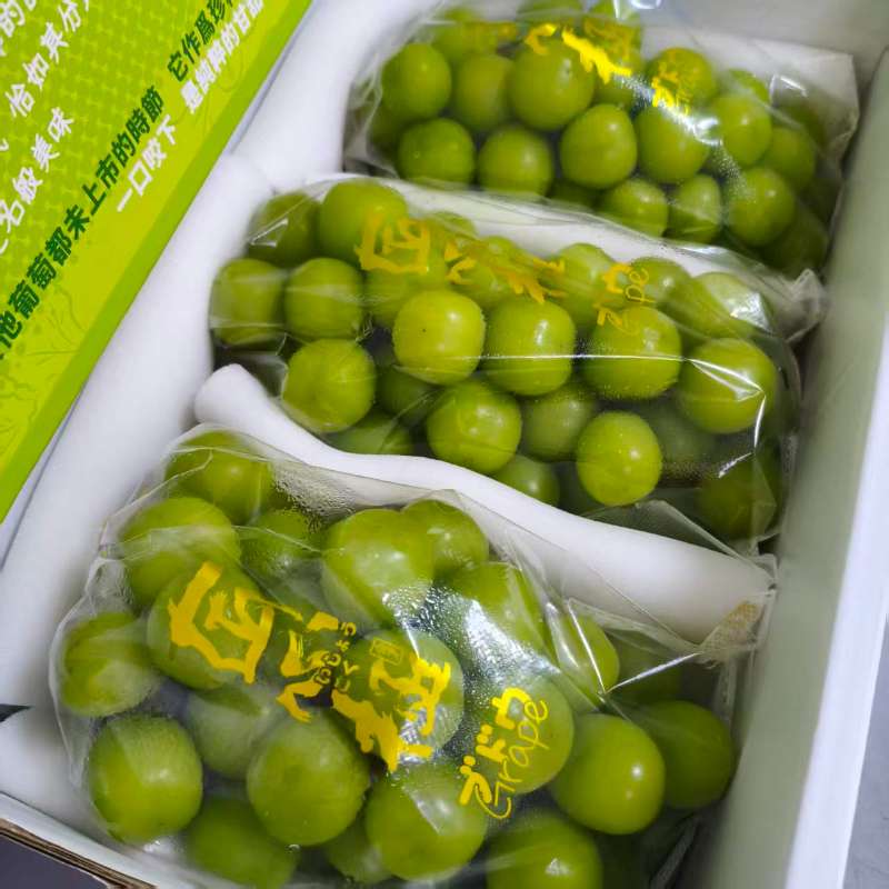 地得特级晴王葡萄|3串，净重5.5斤左右|1箱|次日配送