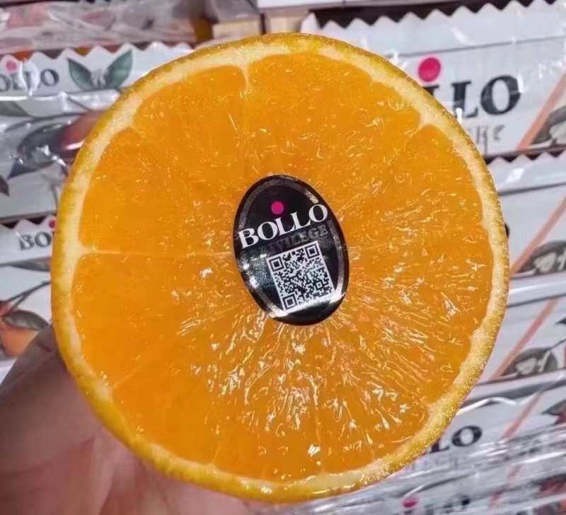 进口|西班牙宝露橙（简装）|净重3斤左右|6个|次日配送