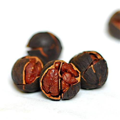 临安|山核桃（辣味水煮）|特大特好剥，218g/罐简装|2罐|次日配送