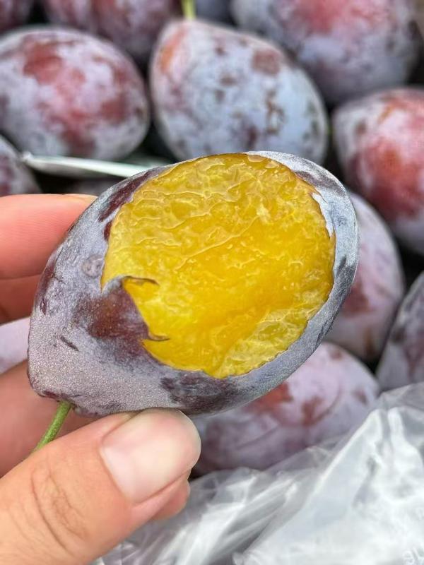 新疆|法兰西西梅（简装）|25g以上大果|2斤|次日配送