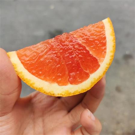 澳大利亚|血橙礼盒装|15头|1箱|次日配送