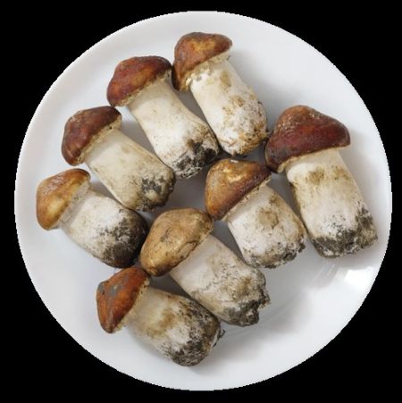 高山蔬菜|姬松茸|1斤|次日配送