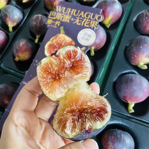 海南|巴斯蜜无花果|总计22枚，800g|2小盒|预定