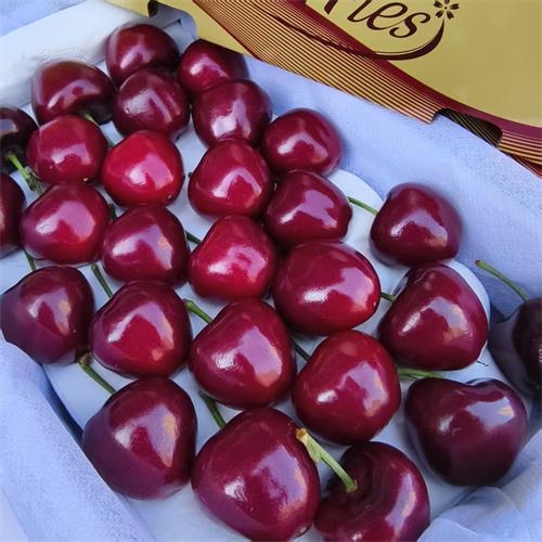 大连|美早樱桃礼盒装|特大果，1.8-2斤|1盒|次日配送