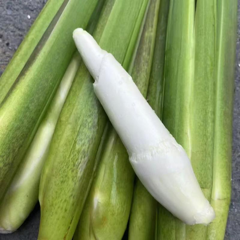 精选|冷水茭白|肉质甜丝丝|3斤|次日配送
