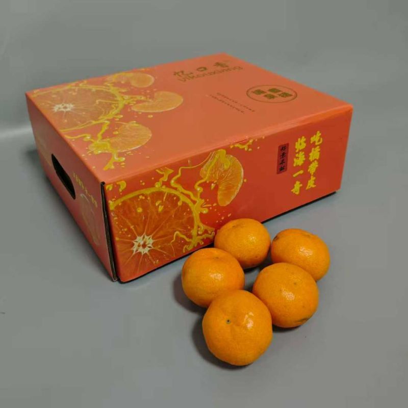 临海|涌泉蜜橘特级小果（净4斤）|高山种植，无核化渣|1箱|次日配送