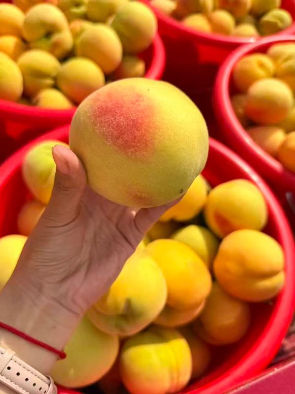 精选|黄桃|4.5斤装|1箱|次日配送