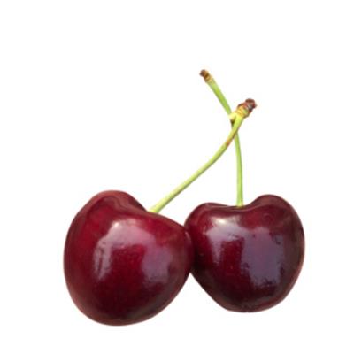 智利|黑车厘子（三勾，简装）|santina|2斤|次日配送