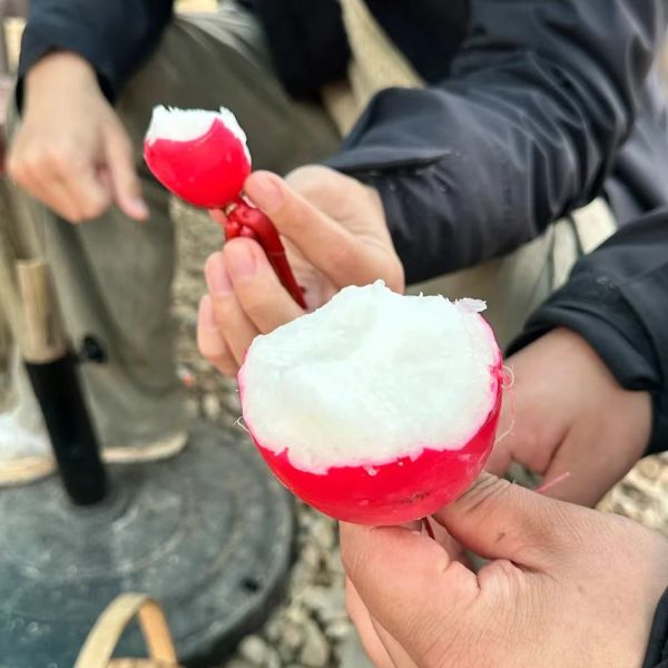 高山蔬菜|水果萝卜|1.5斤|次日配送