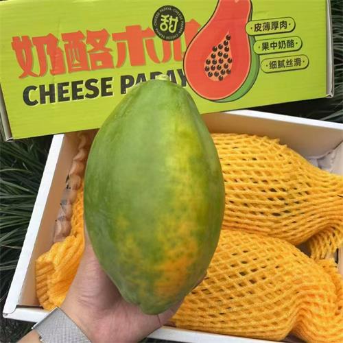 海南|冰糖木瓜|2头，净重5斤以上|1箱|次日配送