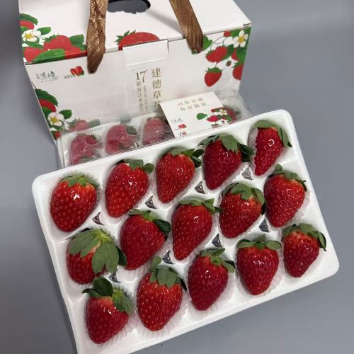 建德|红颜草莓二合一礼盒装|总重1.5斤左右|1箱|次日发货