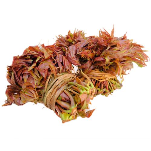 精选|香椿|0.3斤|次日配送