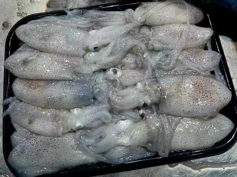 海鲜|小海兔|250g/小盒|1小盒|次日配送