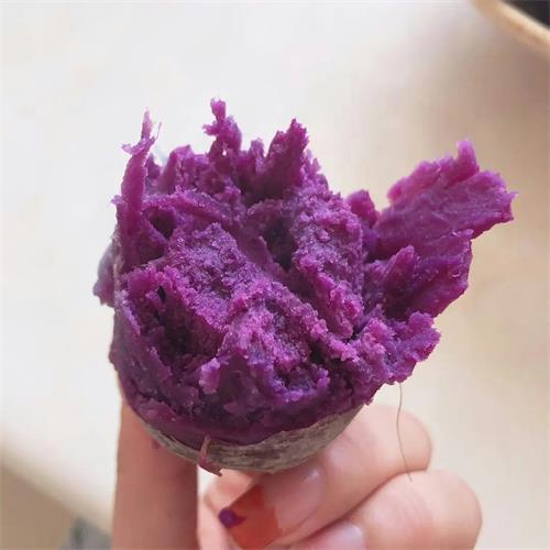 精选|有机紫薯|4斤|次日配送