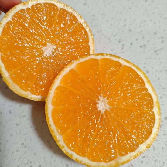 庆元|甜橘柚(75＃)|净重10斤左右|1箱|次日配送