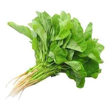 高山蔬菜|绿苋菜|1斤|次日配送