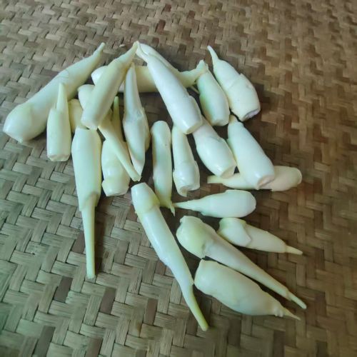 高山蔬菜|野生茭白肉|0.5斤|次日配送