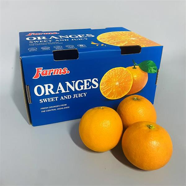 精选|血橙中果礼盒装|16头左右|6斤|次日配送