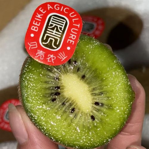 精选|贝壳即食猕猴桃|12头|1箱|次日配送