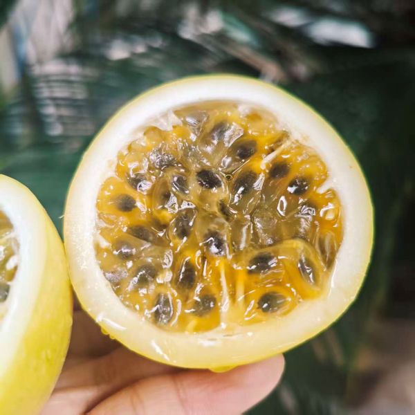 精选|黄金百香果（3斤）|1箱|次日配送