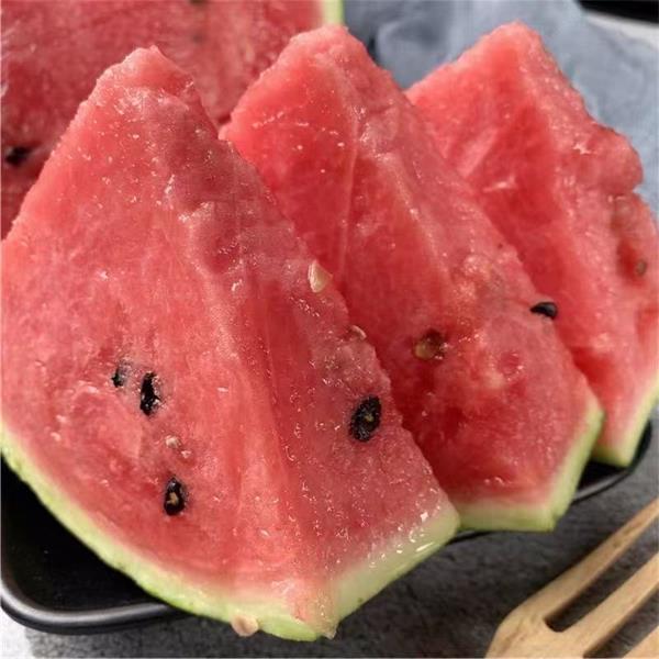 杭州|乔司8424西瓜（单重8-10斤）|简装|1个|次日配送