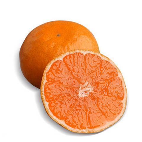 临海|涌泉蜜橘（快递装）|36或45头独立装，净重8±0.5斤|1箱|德邦快递江浙沪皖包邮